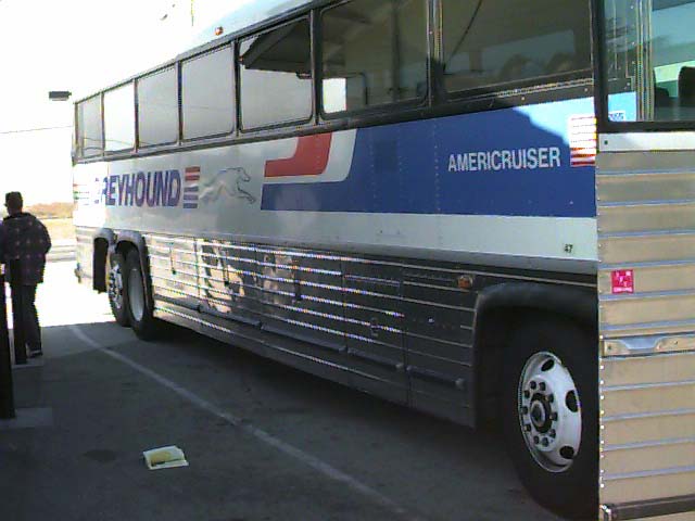 19980830greyhound