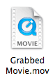 Grab QuickTime movies in FileMaker with Troi Grabber plug-in